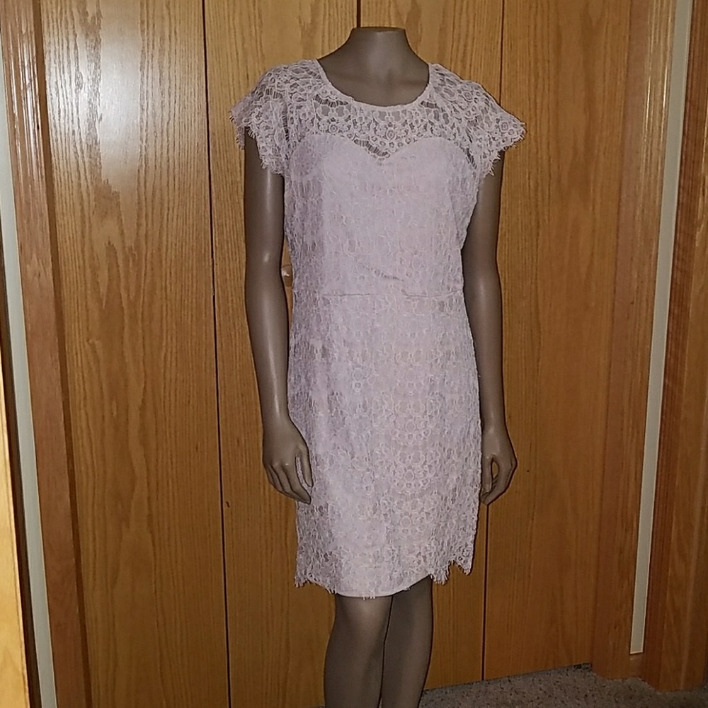 Charlotte Russe Lace Dress